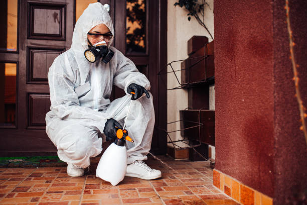 Reliable Wasp Removal contractor in Inverness, CO by Show Me Pest Control